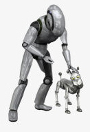 Robotic Development